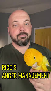 Zeb Ernest Golden Cup Conure