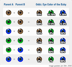68 Precise Eye Hair Color Genetics Chart