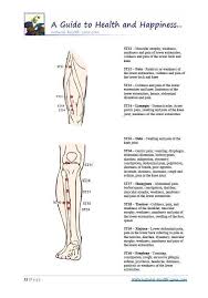 The Body Meridians Book With Meridian Flows And Acu Points Pdf Meridians Life Force Energy Acupunture
