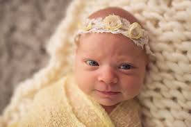 Fundraiser for Holly Donahue by Leia Matern : Charlie's medical &amp;  service expenses