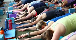 Maybe you would like to learn more about one of these? The Best Yoga Studios In Philadelphia The Main Line And South Jersey