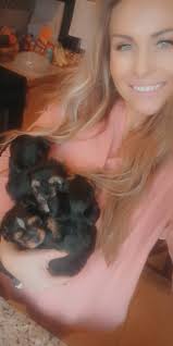 Hi all! I just wanted to introduce myself and share a photo I took if my 4  little Yorkie babies.