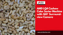 AMD LQ4 Cashew Color Sorter Machine