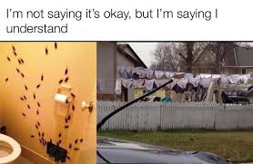The Origin Of Skid Marks Memes