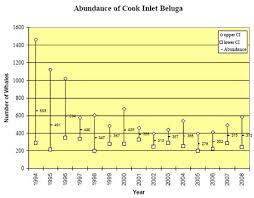 Beluga Whales Of Alaskas Cook Inlet Listed As Endangered