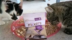 Free p&p on orders £35+. Boo Day 341 Cats Try Applaws Cat Food And Hilife Perfection Cat Food Also Petsmart Haul Youtube