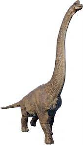 We did not find results for: Brachiosaurus Jurassic World Evolution Wiki Fandom Jurassic World Dinosaurs Dinosaur Images Dinosaur Art