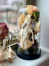 Meet Mandy Boyles: Oddities Artist