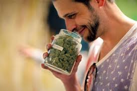 Le testeur est l'ultime maillon très important de la chaîne de production d'un jeu vidéo. Le Meilleur Metier Du Monde Testeur De Weed Professionnel