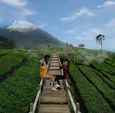 Perilaku sosial remaja di obyek wisata kebun teh cipasung, yang. Wayang Windu Pangalengan Tiket Masuk Rute Dan Alamat Lokasi