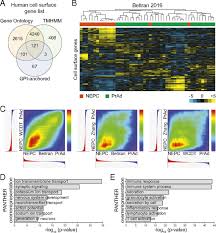But hearing the words can still be scary. Systemic Surfaceome Profiling Identifies Target Antigens For Immune Based Therapy In Subtypes Of Advanced Prostate Cancer Pnas