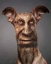 This morning, I spoke with Governor Ron DeSantis to discuss the steps we're  taking to support Florida in response to Hurricane Ian. I've also directed  FEMA Administrator Criswell to travel to Florida