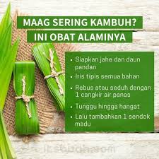 Obat Obatan Di 2020 Obat Alami Diet Detoks Kesehatan Alami