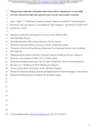 Image result for Englerodendron mengei