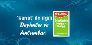 Kanat Ile Ilgili Deyimler Ve Anlamlari Huzur Sayfasi Islami Bilgi Kaynaginiz