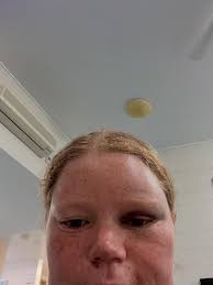 Tess Evans (@tessonthegram) • Instagram photos and videos