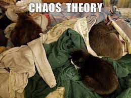 chaos theory chaos theory funny cat memes silly cats