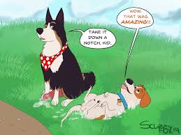 Rule34 - If it exists, there is porn of it   2437426