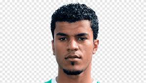 Matthijs de ligt heeft zijn prestigieuze titel als winnaar van de golden boy award 2018 niet weten te evenaren. Matthijs De Ligt Fifa 18 Fifa 17 Fifa 16 Fussballspieler Andere Bart Wange Png Pngegg