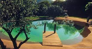 natural pool piscines de reve photo piscine piscine