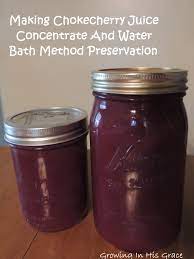 Maybe you would like to learn more about one of these? Making Chokecherry Juice And Preservation Growing In His Grace Chokecherry Juice Chokecherry Berry Juice