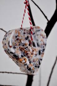 Vogelfutter Anhanger Anleitung Von Vogelfutter Selbstgemacht Essen Anhanger