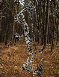 We've rounded up 10 best archery compound bows of this month. The 9 Best New Compound Hunting Bows Tested And Ranked