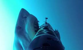 Find the perfect great white shark underwater stock photos and editorial news pictures from getty images. Great White Shark S Predatory Behavior Captured By Underwater Drone Video Sharks The Guardian