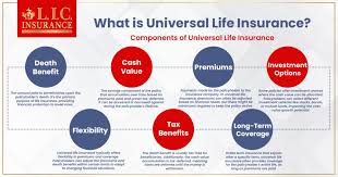 Medipac - Travel Insurance For Travellers, Snowbirds And Seniors