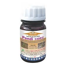 Pendi 330EC