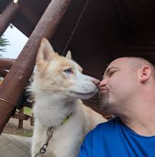 Looking for business to do a small siding job for top and sides front of my  one car attached garage