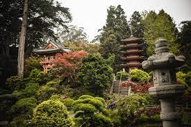2198 market street (666.48 mi) san francisco, ca, ca 94114. Tips For Visiting The San Francisco Japanese Tea Garden