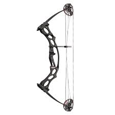 fireshot hoyt archery