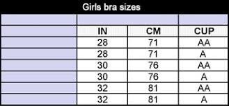 Bra Size Chart Debenhams