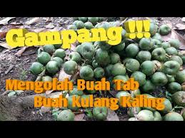 👑 i create everything and every character is over the age of 18!. Sangat Gampang Cara Mengolah Buah Tab Buah Kulang Kaling Youtube