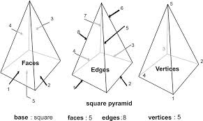 The base is a pentagon. The Polyhedron Ck 12 Foundation