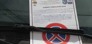 Obiectiv vocea brailei braconaj piscicol in balta mica a brailei. Bataia De Joc La Adresa Soferilor Din Timisoara Continua Primarul