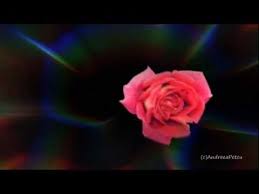 Giovanni Marradi Just For You Youtube In 2020 World Music Giovanni Music Mix