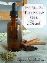 Homemade Protective Essential Oil Blend The Prairie Homestead Recipe Thieves Oil Recipe Essential Oils Rosemary Essential Oils Herbs