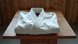 Intro to Martial Arts Seminar – Youth (Ages 8–12)