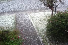 (redirected from 2010 melbourne storm). Melbourne Storm Damage To Cost Tens Of Millions Abc News Australian Broadcasting Corporation