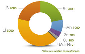 What is the difference between … Micronutrients Nutrient Management Mosaic Crop Nutrition