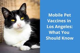 Our hospital offers our patients a reduced cost vaccine clinic. Bbqad3ay Iorcm