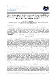 Image result for Centemopsis kirkii