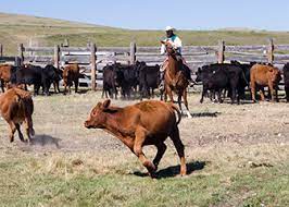 Farmers, Ranchers, And Other Agricultural Managers : Occupational Outlook  Handbook: : U.s. Bureau Of Labor Statistics