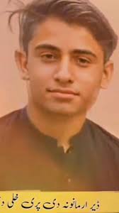 National Animal of Pakistan. Ibex in the mighty mountain ranges of Hamalia  and Kurakuram.