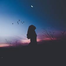 Find a hd wallpaper for your mac, windows, desktop or android device. Download Wallpaper 2780x2780 Girl Silhouette Moon Birds Night Harmony Loneliness Ipad Air Ipad Air 2 Ipad 3 Ipad 4 Ipad Mini 2 Ipad Mini 3 Ipad Mini 4 Ipad Pro 9 7 For Parallax Hd Background