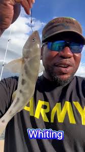 Davis Island Florida