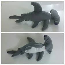 Cekic Basli Kopekbaligi Hammerhead Shark