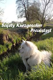 Safety Kurzgeschirr Hundegeschirr Zuggeschirr Hunde Futter